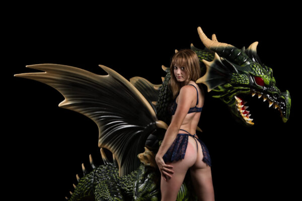 libby-dragon-lingerie-outfit-bottom-brunette-ardmore-ok