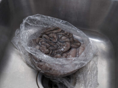 Raw octopuses in a plastic bag in a kitchen sink during preparation for the Octopus Project photo shoot.