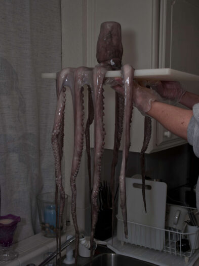 Large octopus hanging from a cutting board with its tentacles extended during preparation for the Octopus Project.