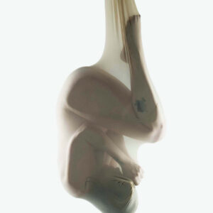 queenie-bobeenie-embryo-themed-photo-shoot-shawnee-ok