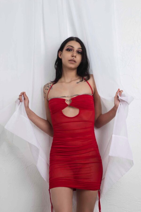 kali-king-red-hot-sheer-dress-skirt-portrait-session-edmond-ok