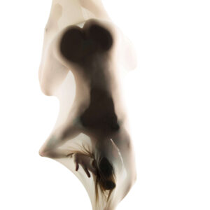 Dreama embryo theme photo session Subtle Shades Photography