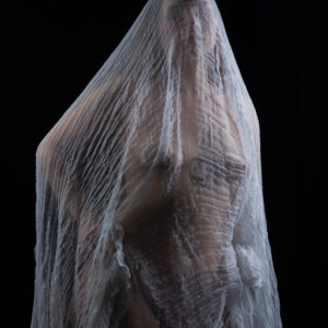 Remedy sheer netting sexy themed boudoir shoot Subtle Shades Photography