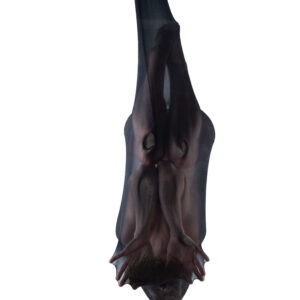 Bianca Brunson embryo themed creative art shoot Woodward OK