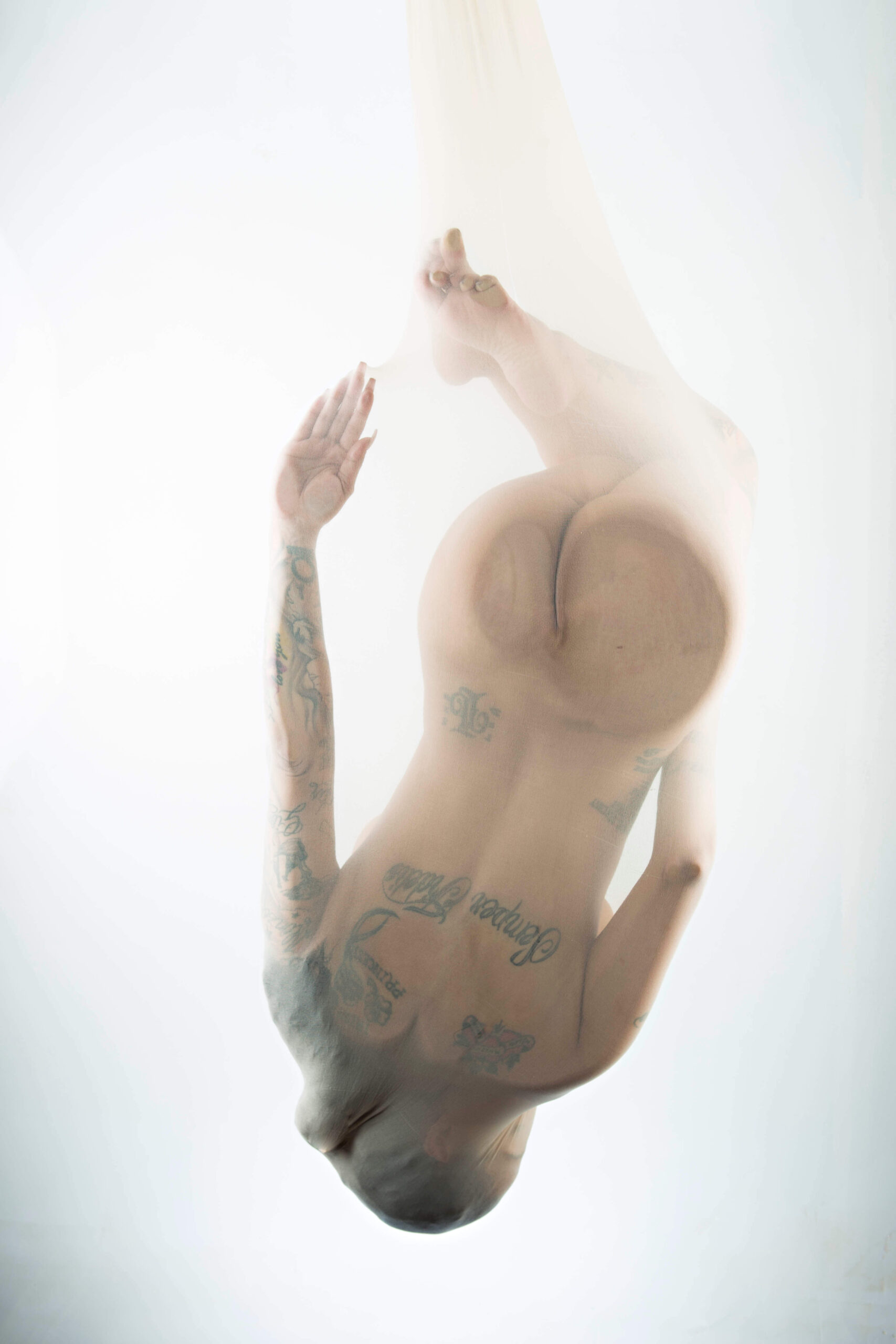 Maxi Soule poses curled upside down inside translucent white fabric, her tattooed body softly silhouetted against a bright white background.